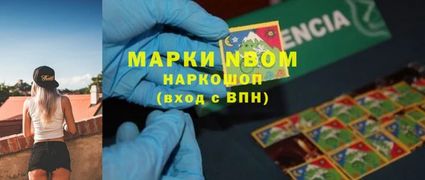 СК Алексин