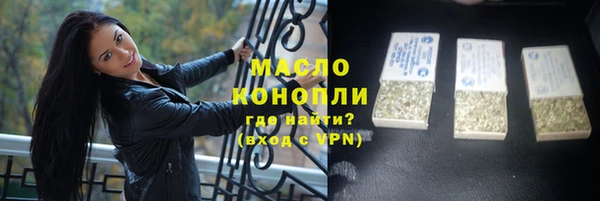 СК Алексин
