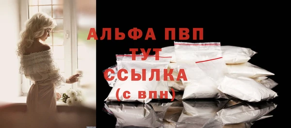 СК Алексин