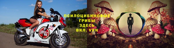 СК Алексин